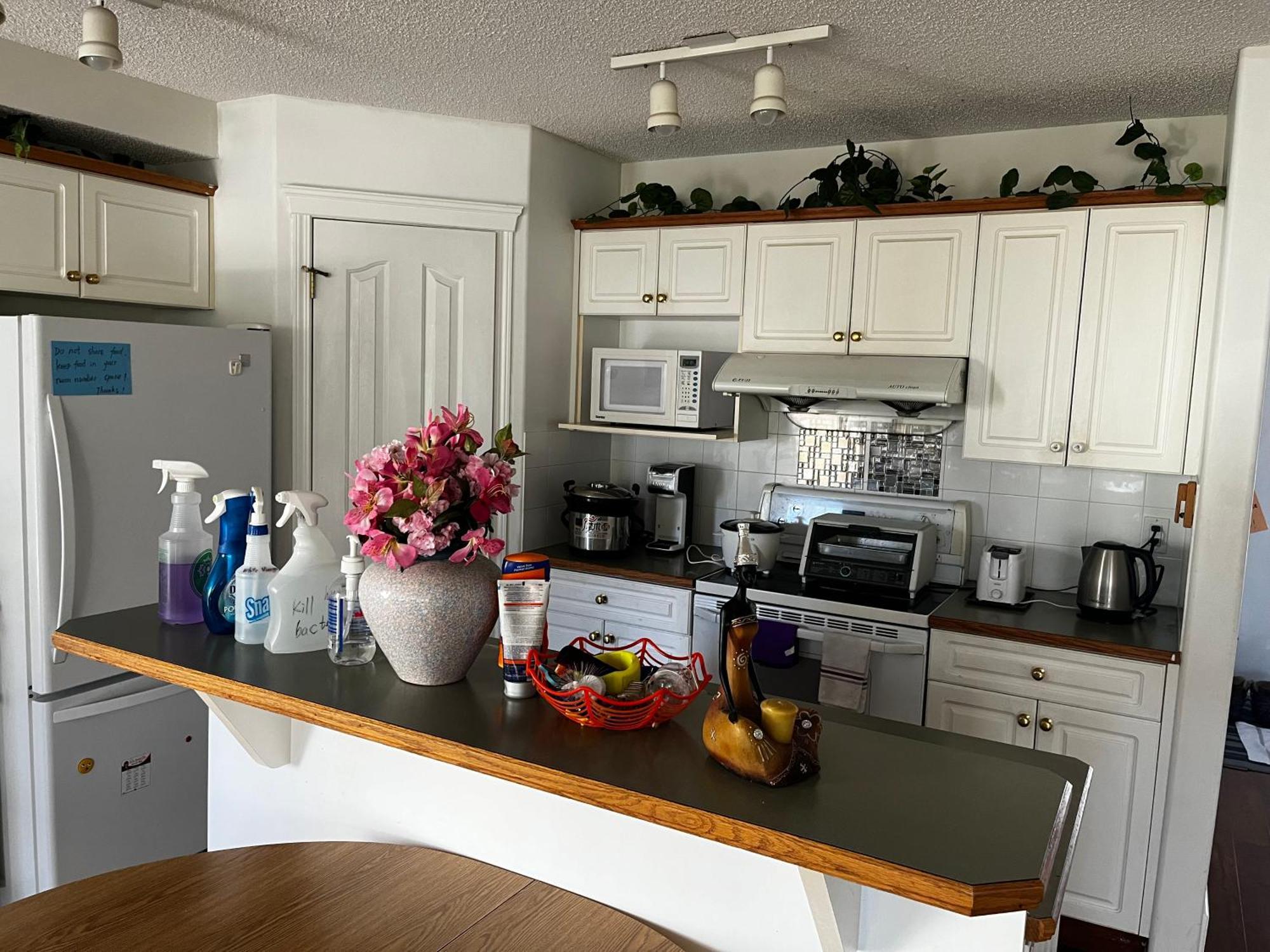 Hidden Valley New Basement Suite With Private Bathroom! YYC Eksteriør billede